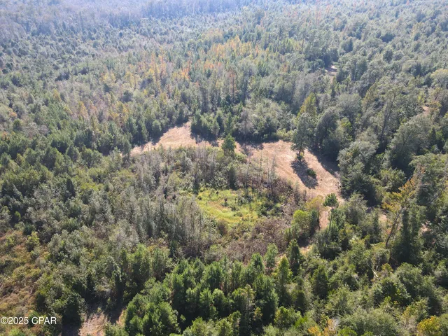 $195,000 | 0 Brushey Pond Road, Grand Ridge, FL 32442