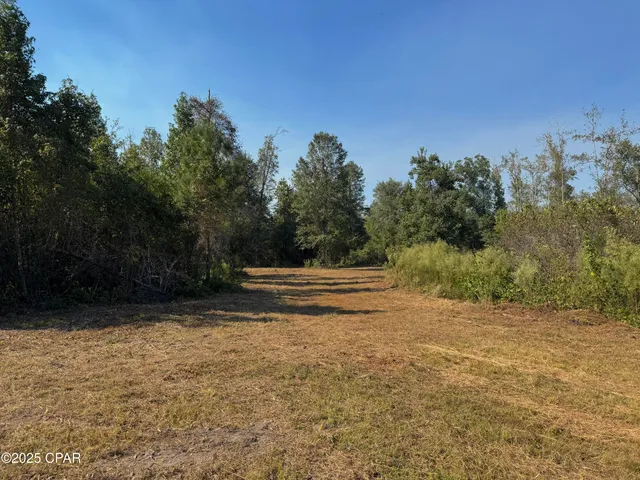 $195,000 | 0 Brushey Pond Road, Grand Ridge, FL 32442