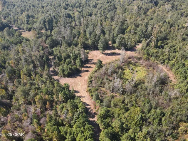 $195,000 | 0 Brushey Pond Road, Grand Ridge, FL 32442