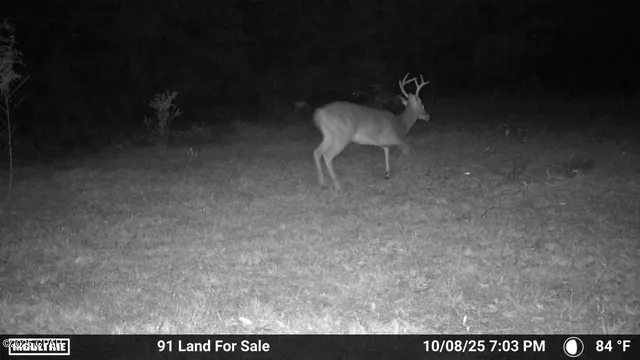 $195,000 | 0 Brushey Pond Road, Grand Ridge, FL 32442