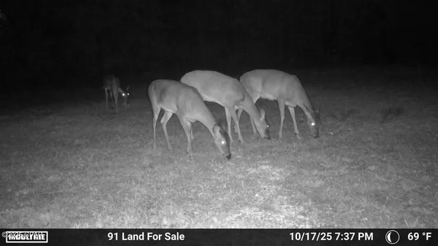 $195,000 | 0 Brushey Pond Road, Grand Ridge, FL 32442