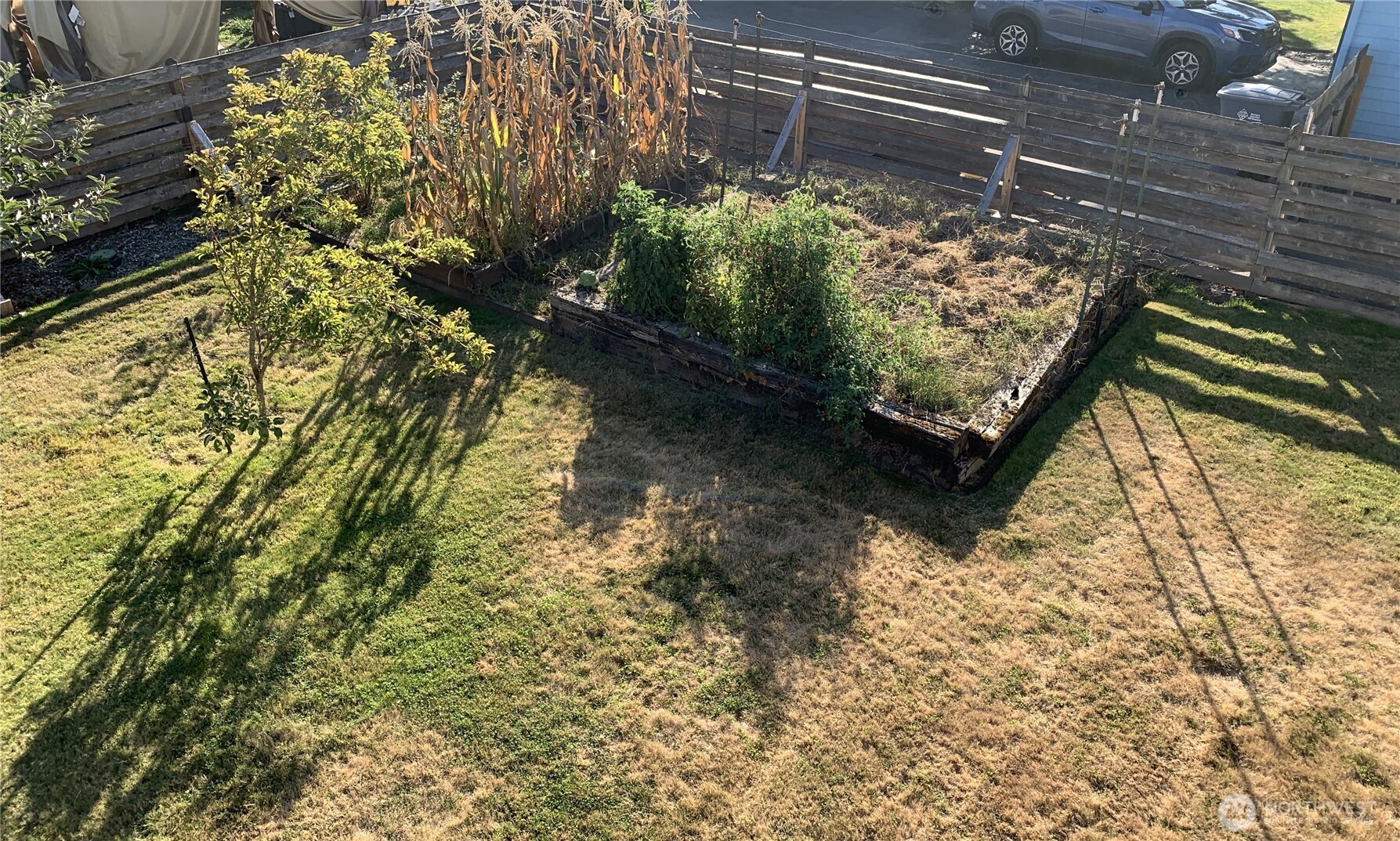 416 Meade Avenue Sumner, WA 98390 - Photo 36 of 39 a view of a backyard