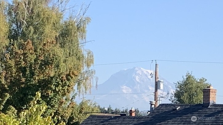 416 Meade Avenue Sumner, WA 98390 - Photo 8 of 39 a view of a fountain in the backyard
