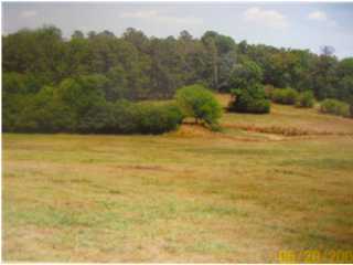 0 Manning Mill Road Summerville, GA 30728 - Photo 1 of 3 Primary Photo
