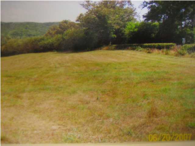 0 Manning Mill Road Summerville, GA 30728 - Photo 2 of 3 Additional Photo
