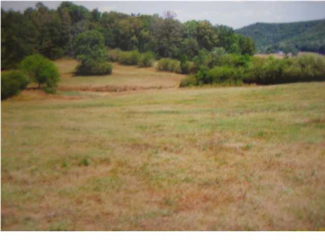 0 Manning Mill Road Summerville, GA 30728 - Photo 3 of 3 Additional Photo
