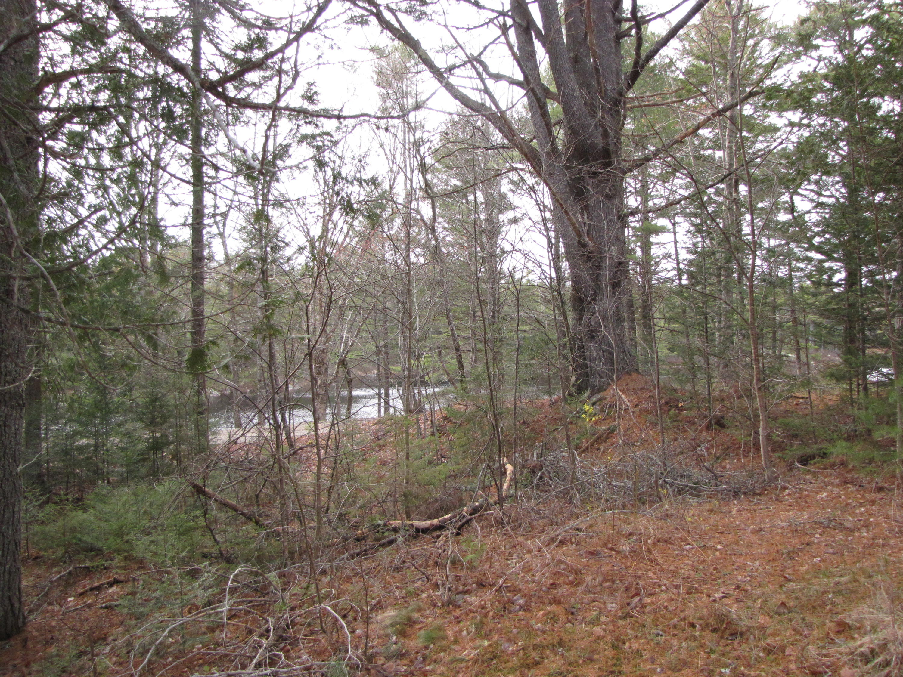 33 Marks Lake Road Machias, ME 04654 - Photo 24 of 37 IMG_1941