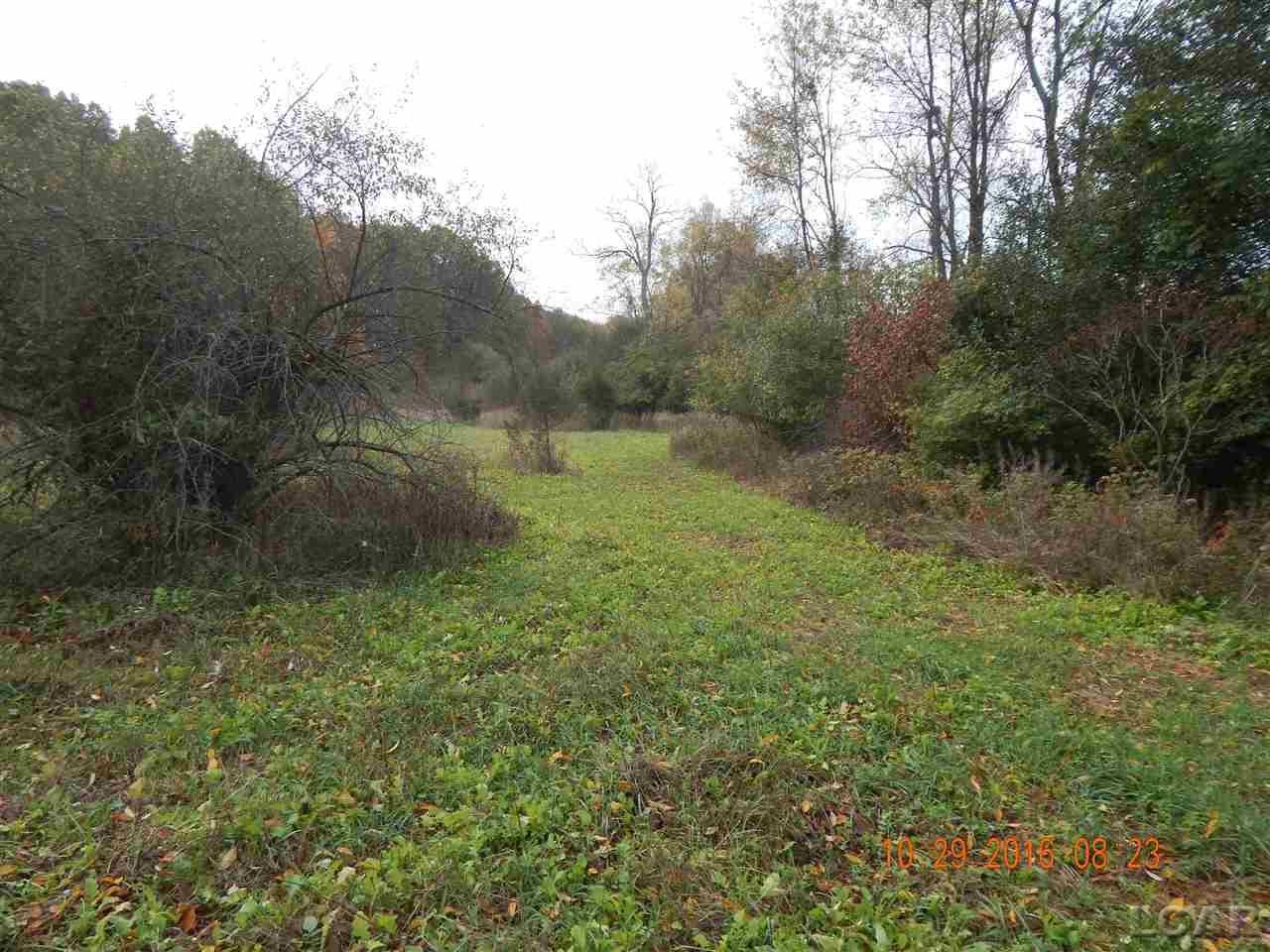 Vac East Vac E Blue Ridge Road Clarklake, MI 49234 - Photo 19 of 32 31328508-18.JPG