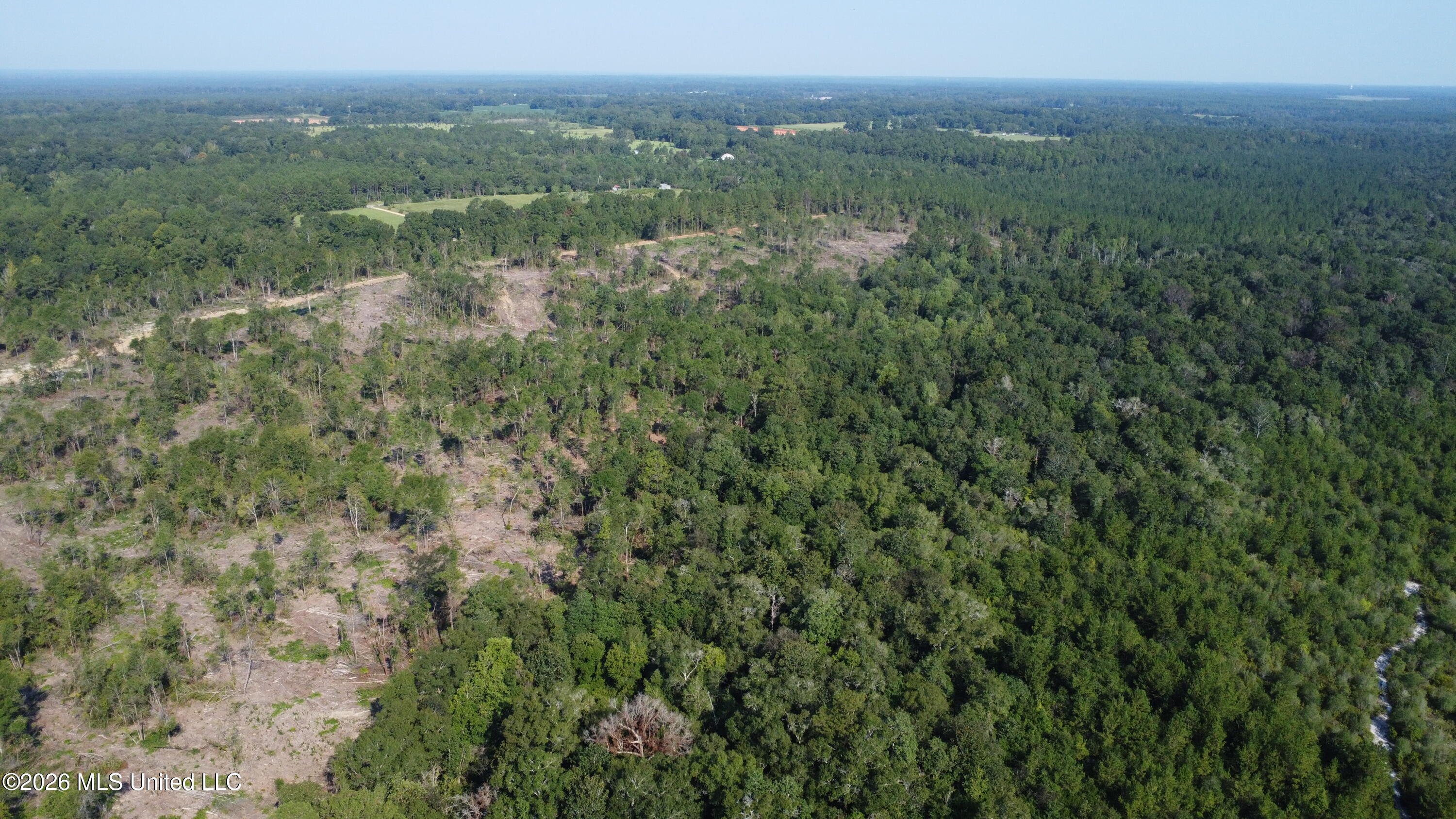 156.3 Acres Beesley Road Lucedale, MS 39452 - Photo 25 of 30 DJI_0483