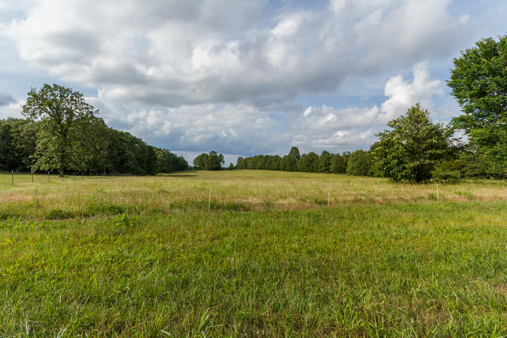 10175 Doe Run Road Phillipsburg, MO 65722 - Photo 14 of 18 IMG_9486