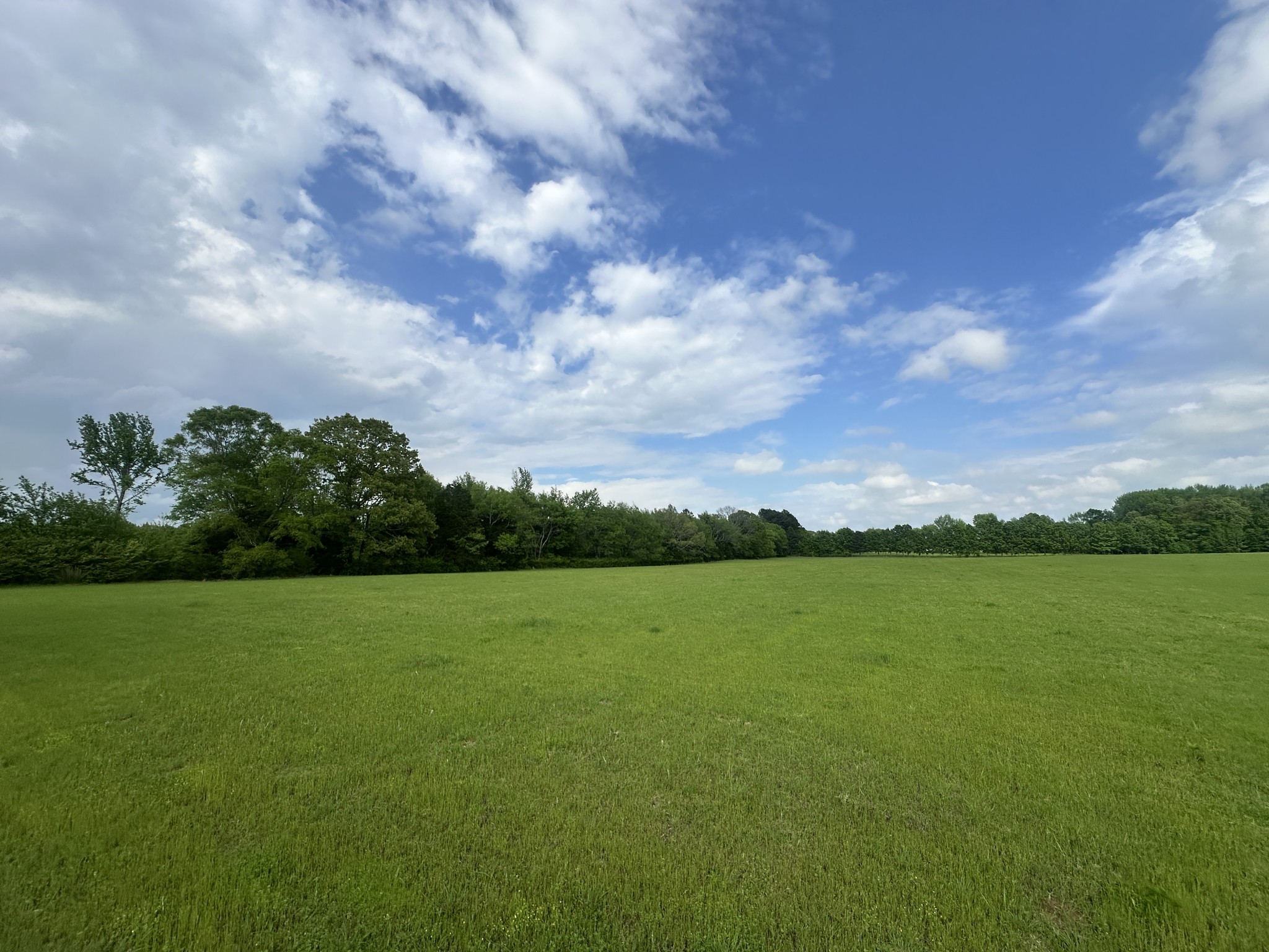 0 Tillman Mill Road Athens, AL 35614 - Photo 2 of 9