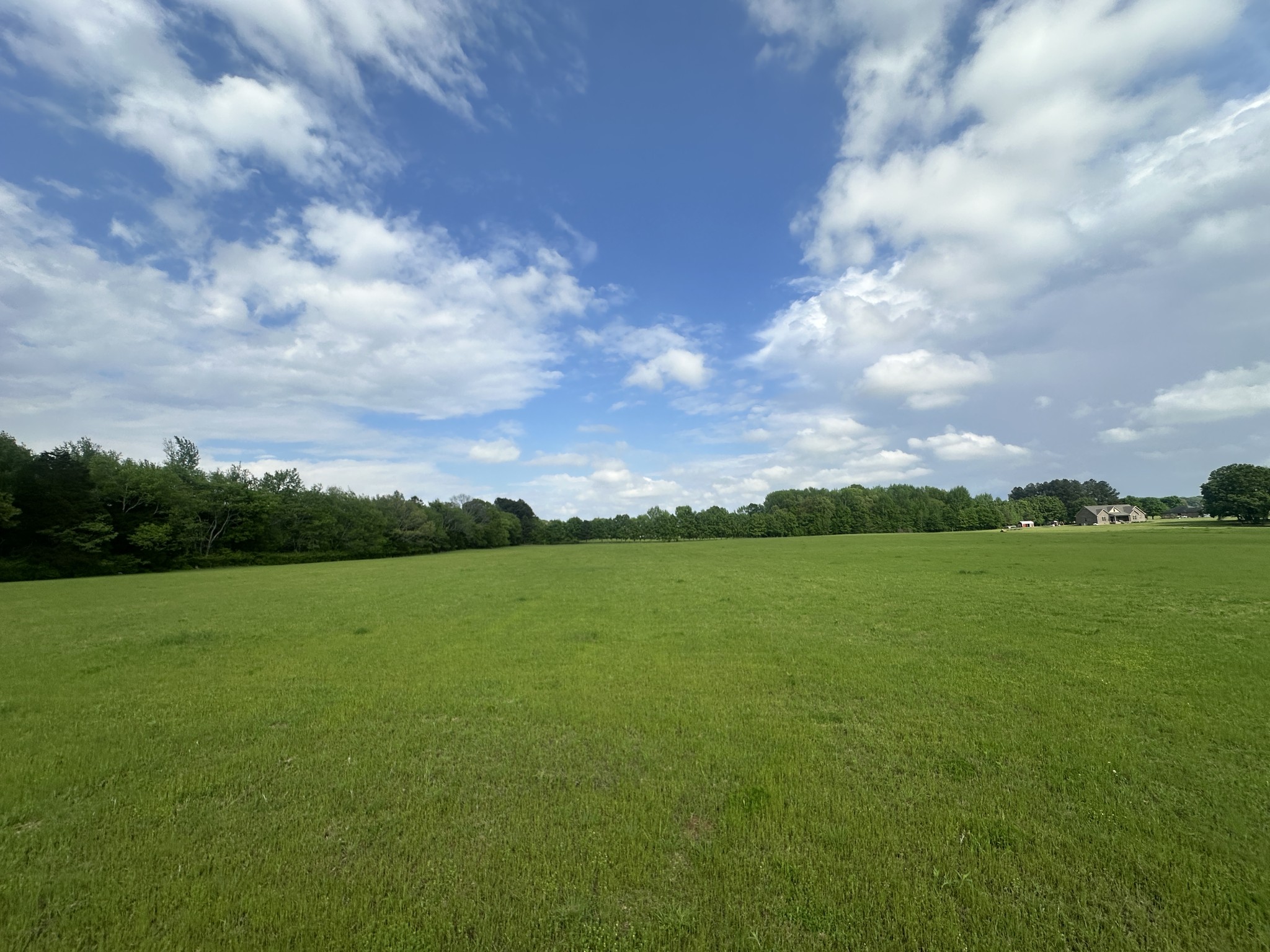 0 Tillman Mill Road Athens, AL 35614 - Photo 8 of 9