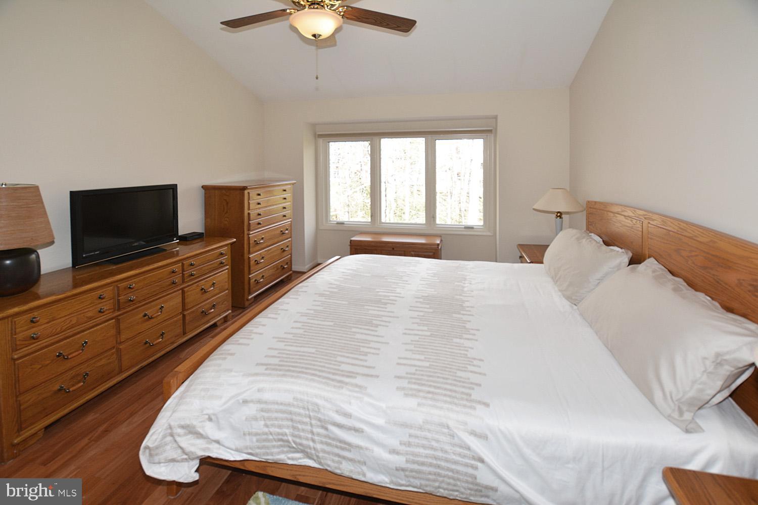 11618 Chapel Cross Way Reston, VA 20194 - Photo 25 of 41 Views of woods from master