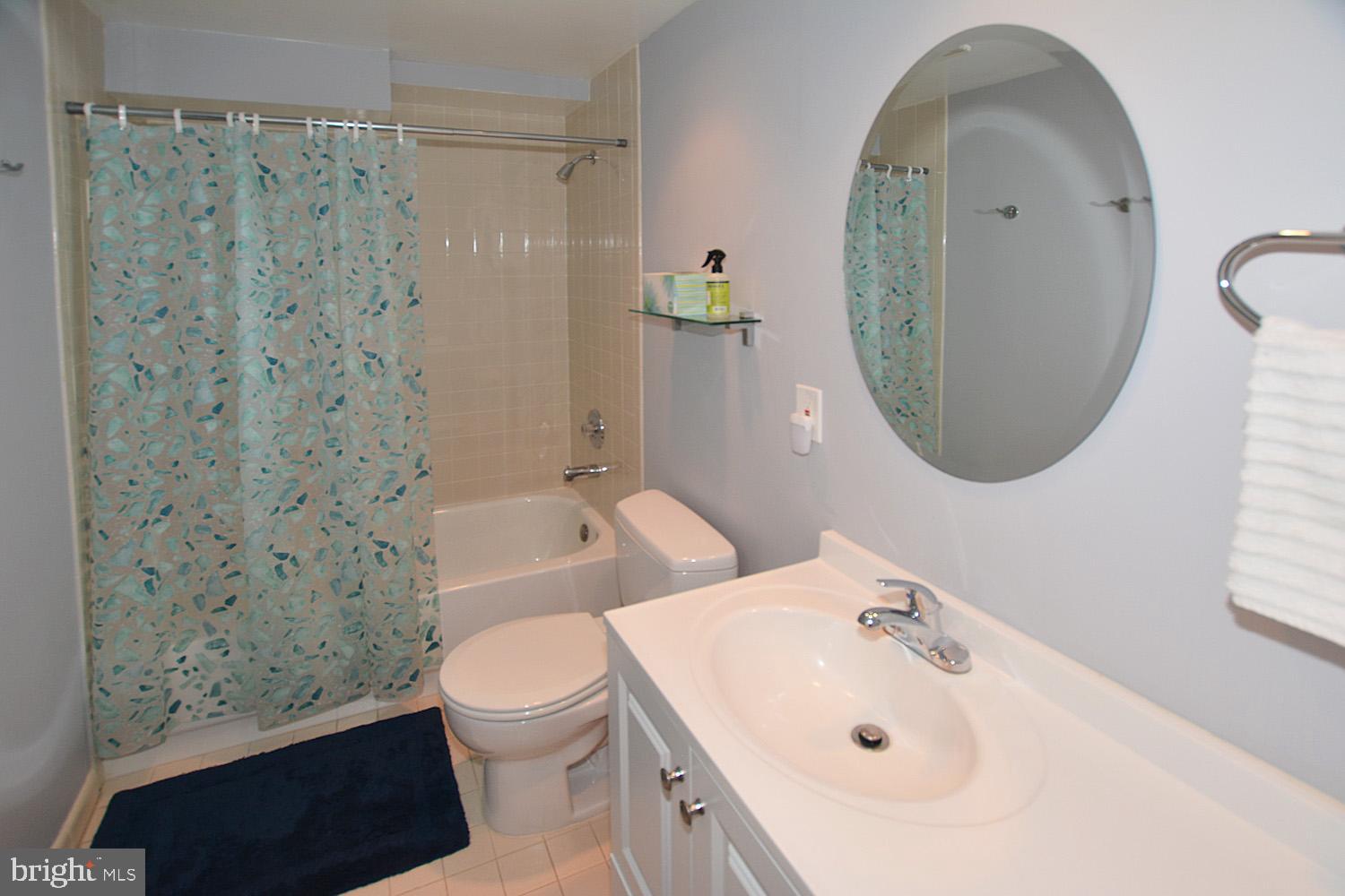 11618 Chapel Cross Way Reston, VA 20194 - Photo 35 of 41 Full bath on lower level