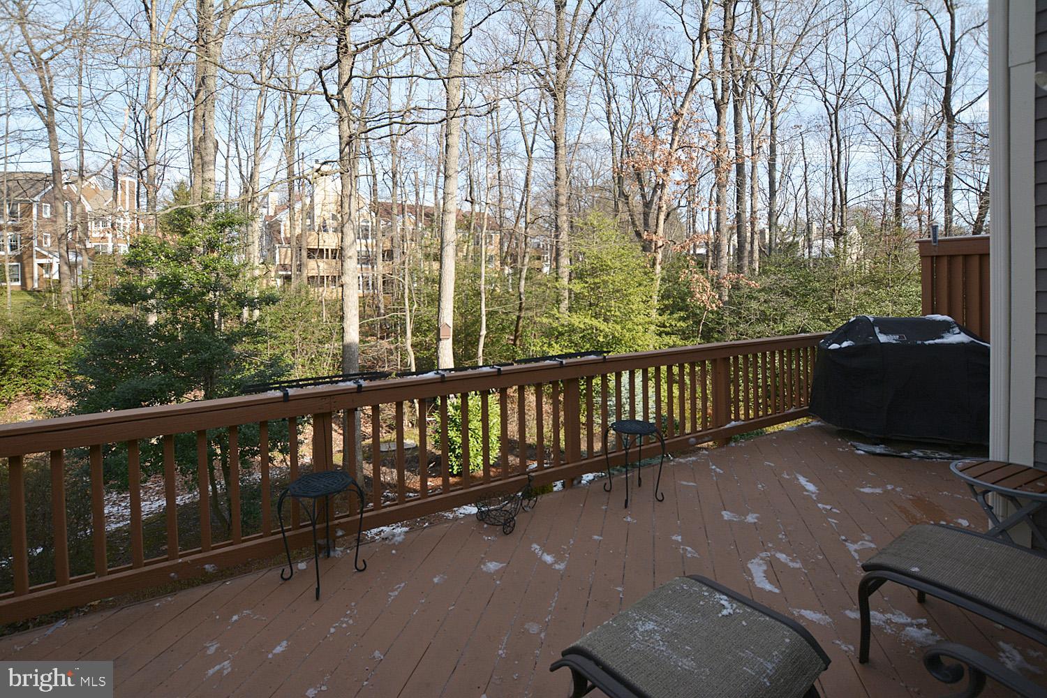 11618 Chapel Cross Way Reston, VA 20194 - Photo 37 of 41 Enjoy nature!