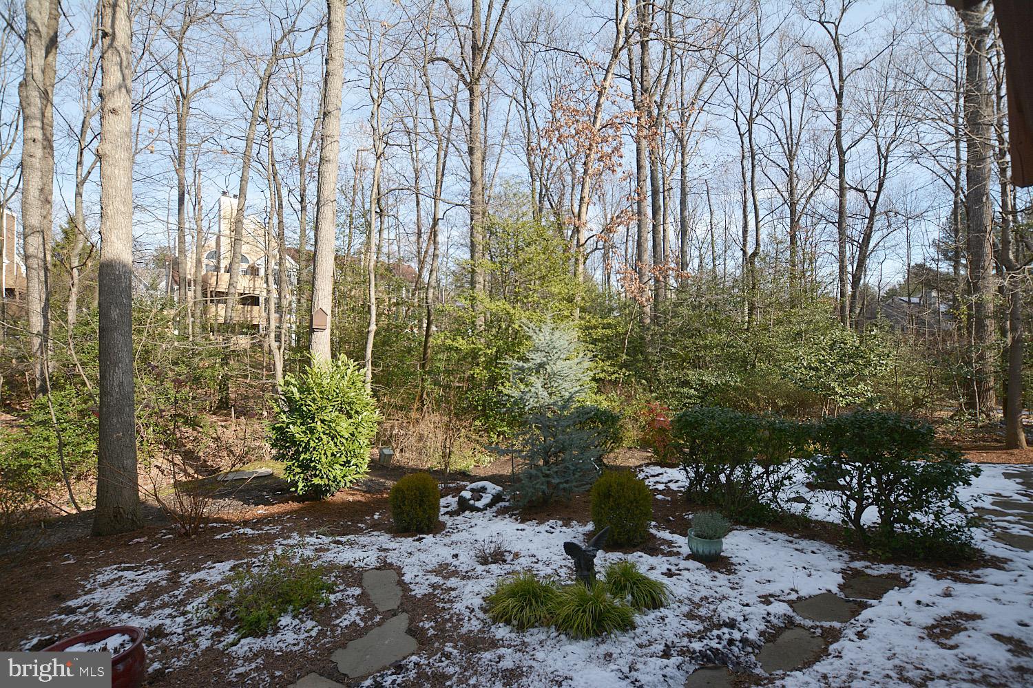 11618 Chapel Cross Way Reston, VA 20194 - Photo 39 of 41 Privacy abounds!
