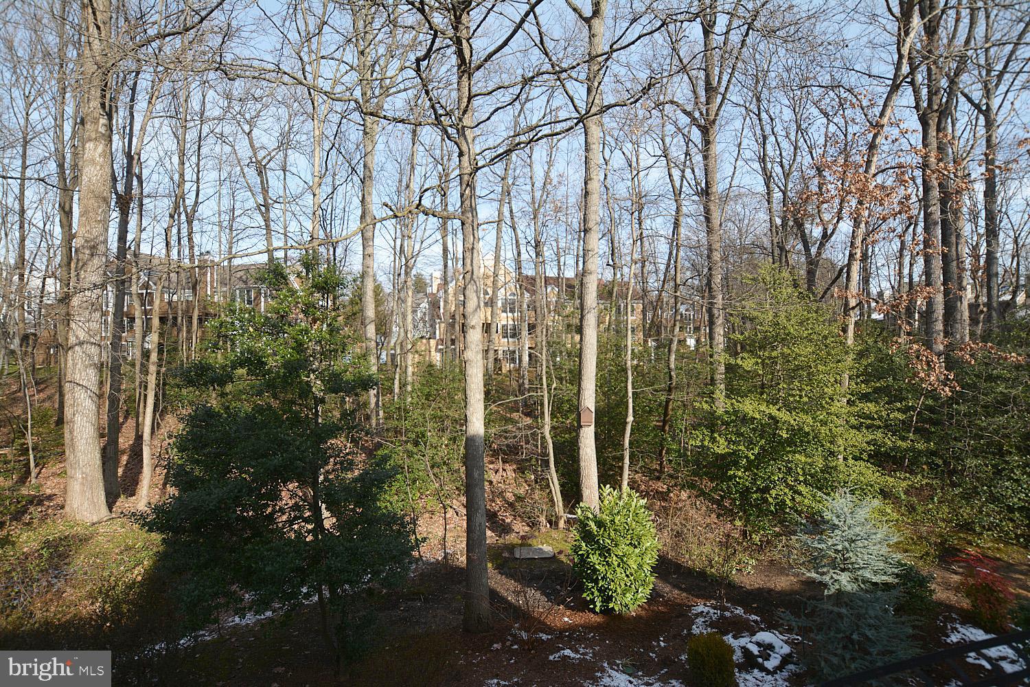 11618 Chapel Cross Way Reston, VA 20194 - Photo 40 of 41 Beautiful landscaping