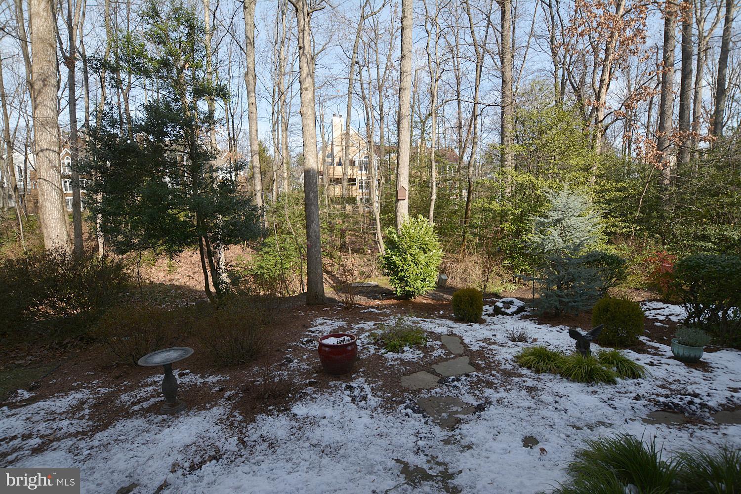 11618 Chapel Cross Way Reston, VA 20194 - Photo 41 of 41 Lovely wooded views!