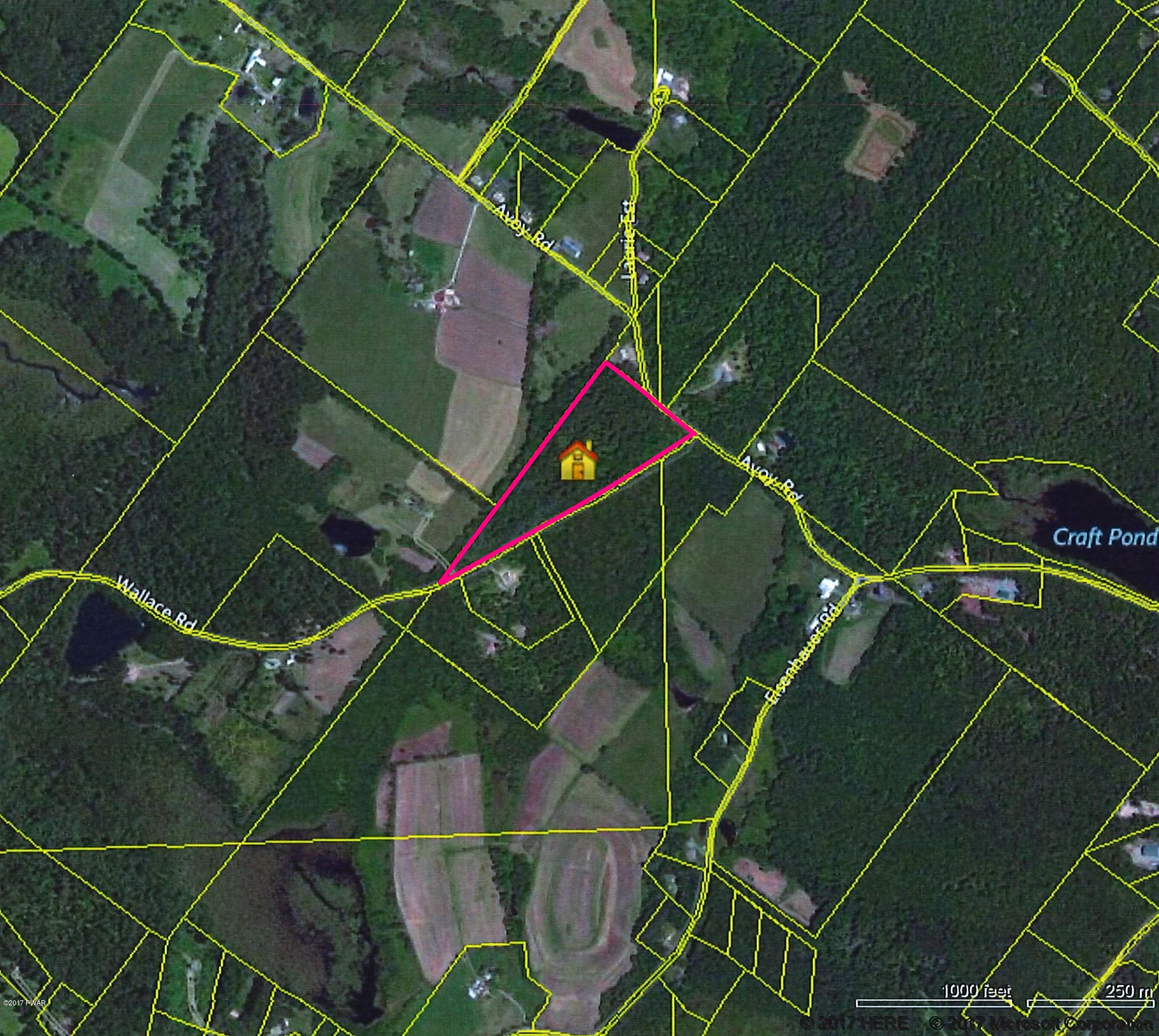Lot 1 Avoy & Wallace Road Lake Ariel, PA 18436 - Photo 5 of 6
