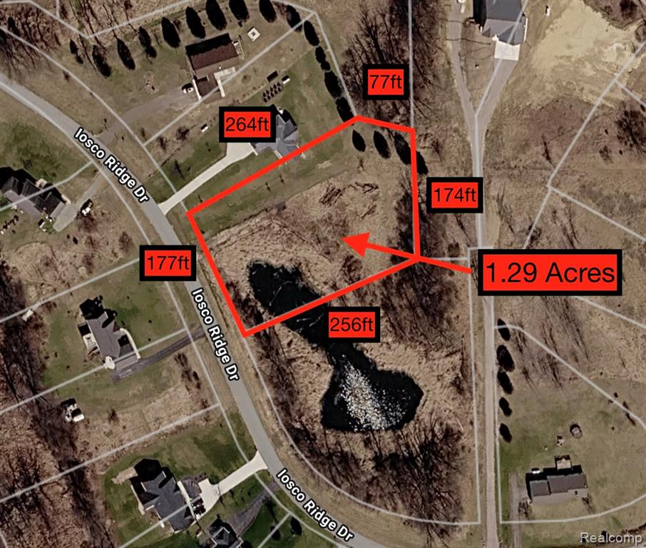 9910 Iosco Ridge Drive Gregory, MI 48137 - Photo 3 of 10