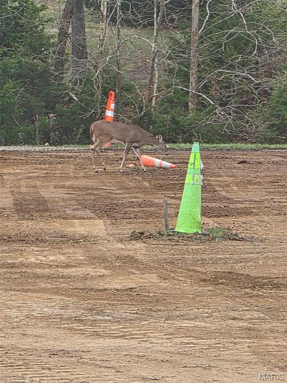 9345 Schaller Road Lenzburg, IL 62255 - Photo 25 of 30