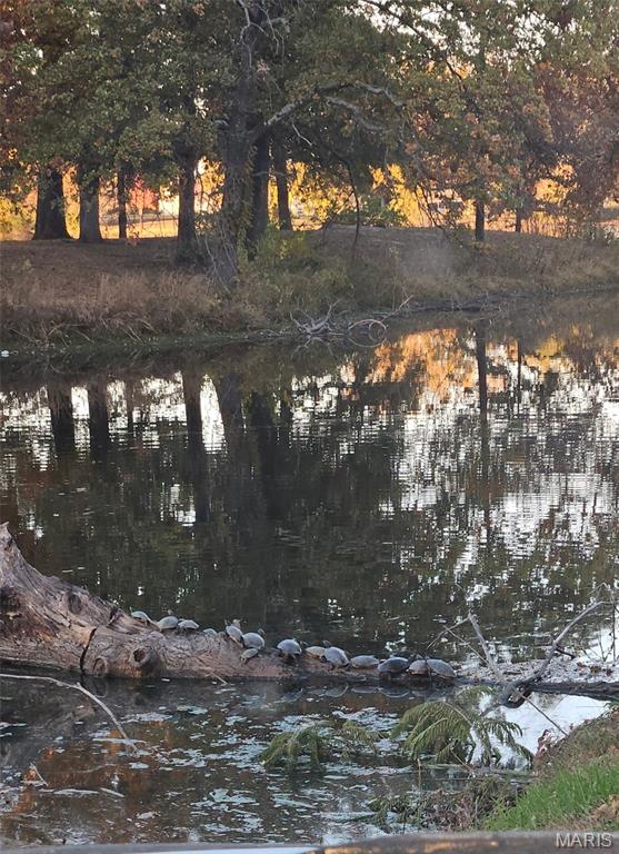 9345 Schaller Road Lenzburg, IL 62255 - Photo 28 of 30