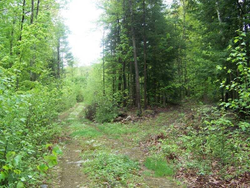Lot 1 A Spring Road West Newfield, ME 04095 - Photo 6 of 16 Photo