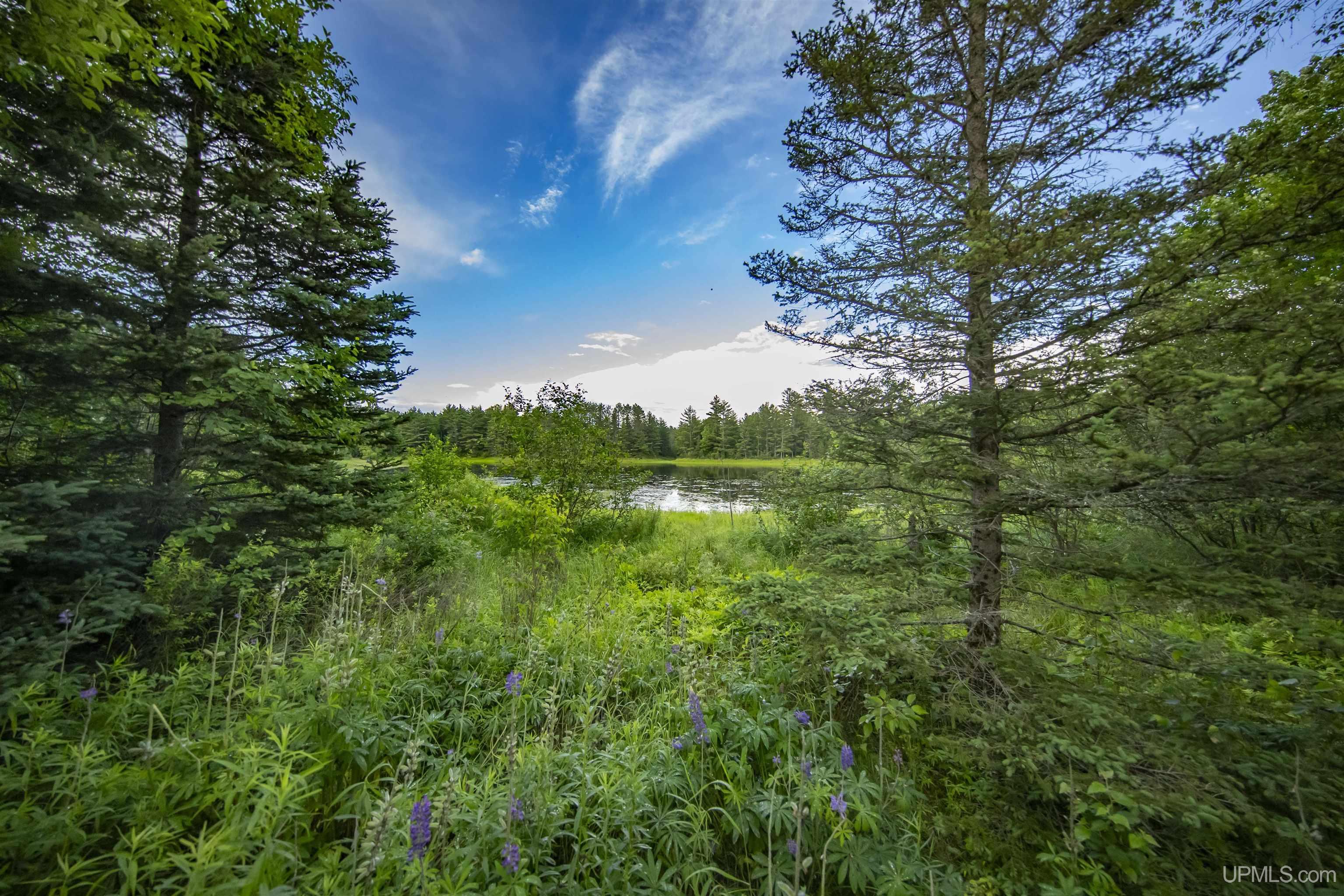 163 Wirtanen Road Crystal Falls, MI 49920 - Photo 8 of 83
