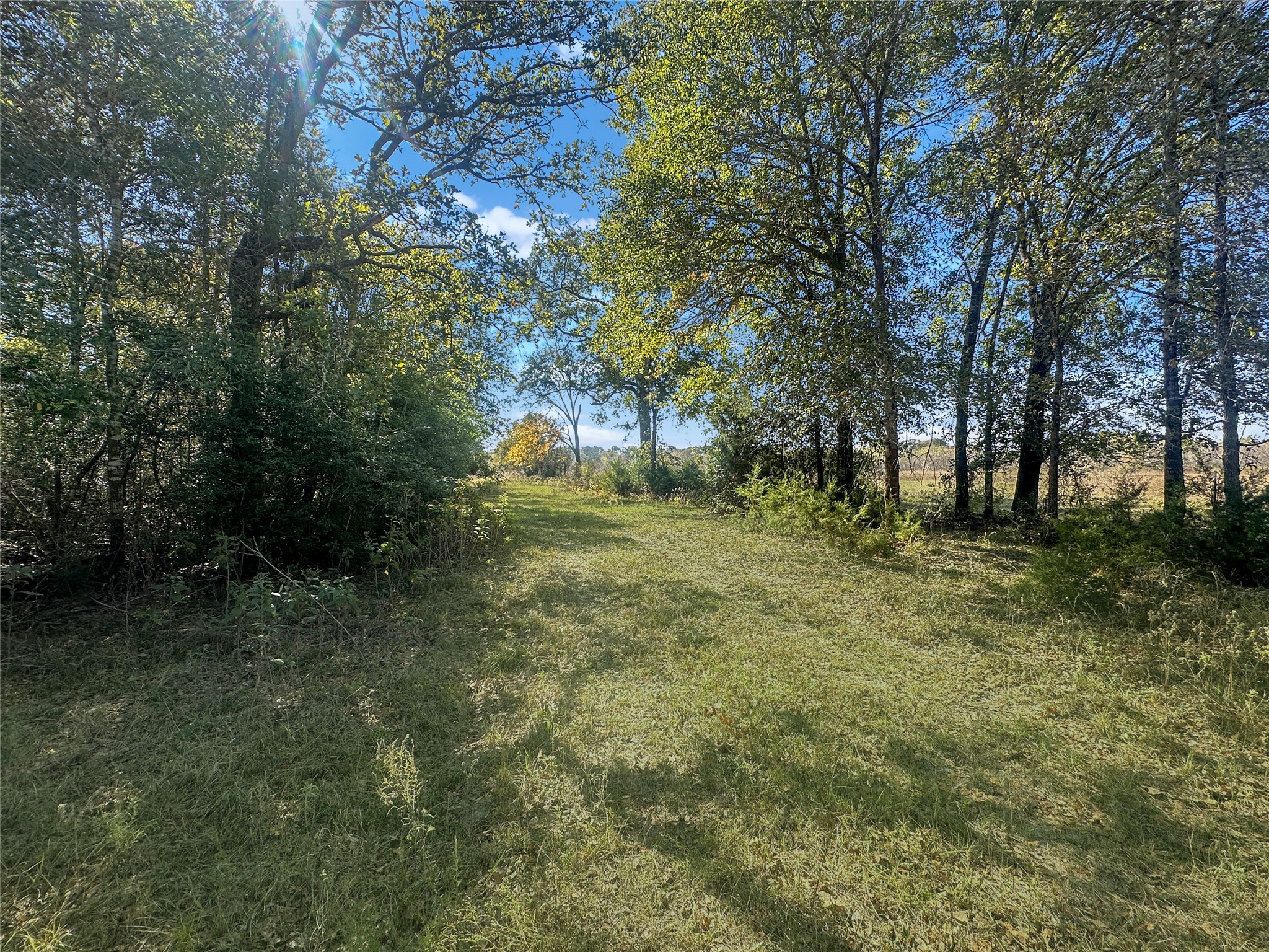 2845 Boehnke Road Muldoon, TX 78949 - Photo 1 of 14