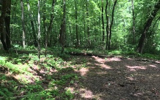 Southern Road North Ellijay, GA 30536 - Photo 1 of 1 Main View
