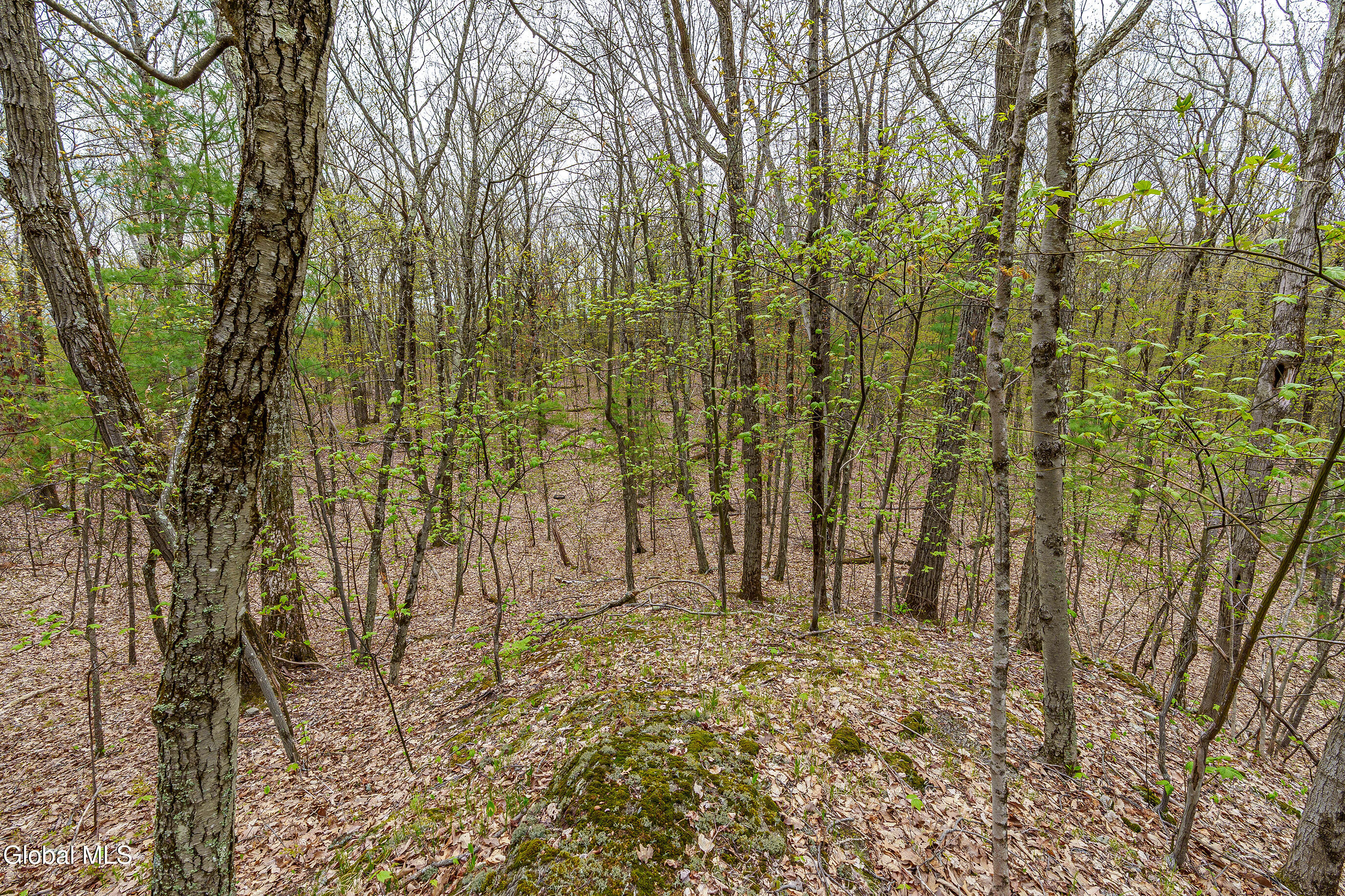 83 Maschodack Road Nassau, NY 12123 - Photo 13 of 26 018-Mashodack-Rd-Nassau-NY-12123