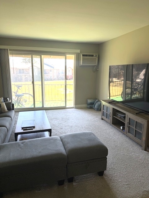 16W535 79th Street, Unit 203 Willowbrook, IL 60527 - Photo 3 of 11