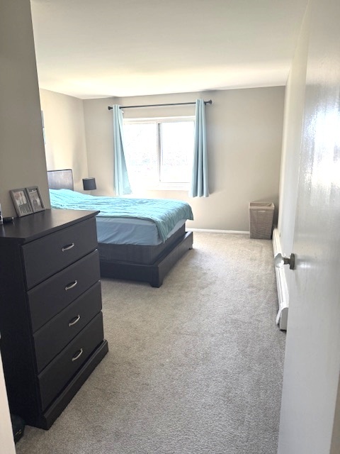 16W535 79th Street, Unit 203 Willowbrook, IL 60527 - Photo 8 of 11