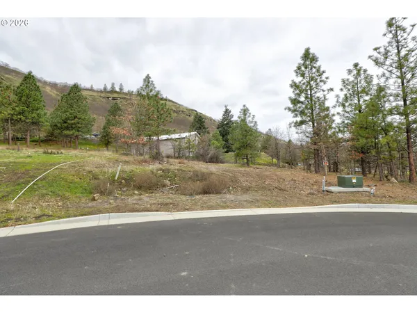a view of a yard and mountain