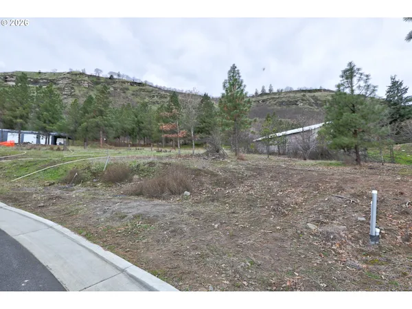 a view of a dry yard with trees in the background