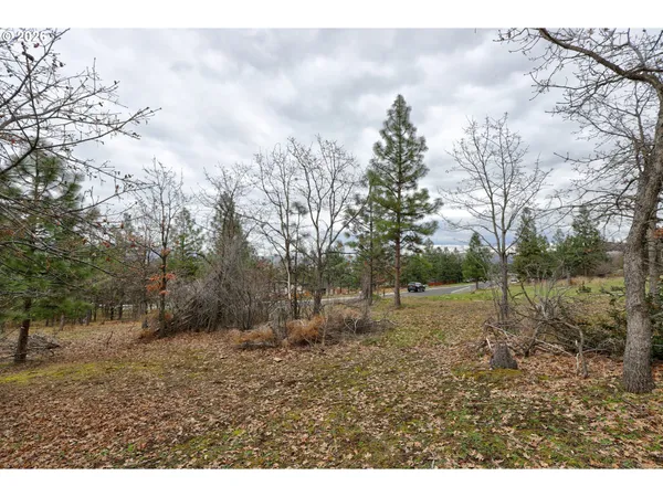 a view of outdoor space and yard