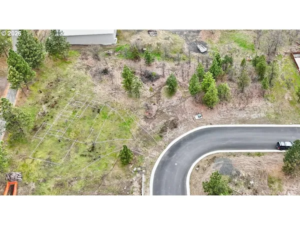 a black and white photo of a garden