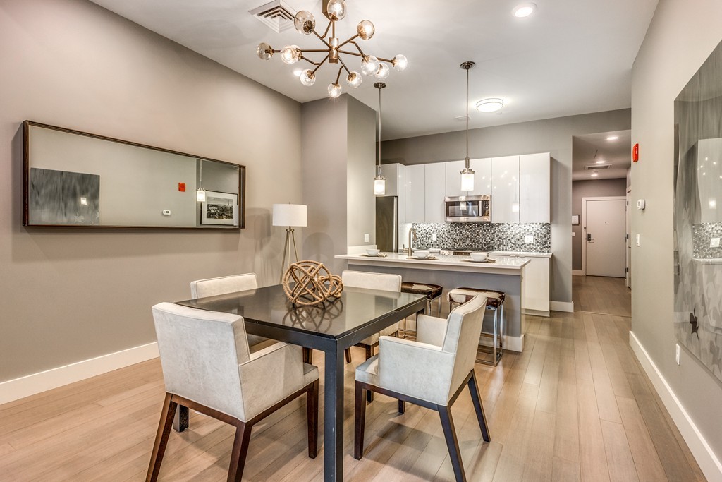 121 Portland Street, Unit 202 Boston, MA 02114 - Photo 7 of 30