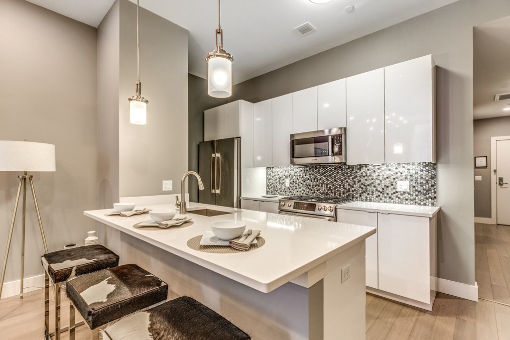 121 Portland Street, Unit 202 Boston, MA 02114 - Photo 9 of 30