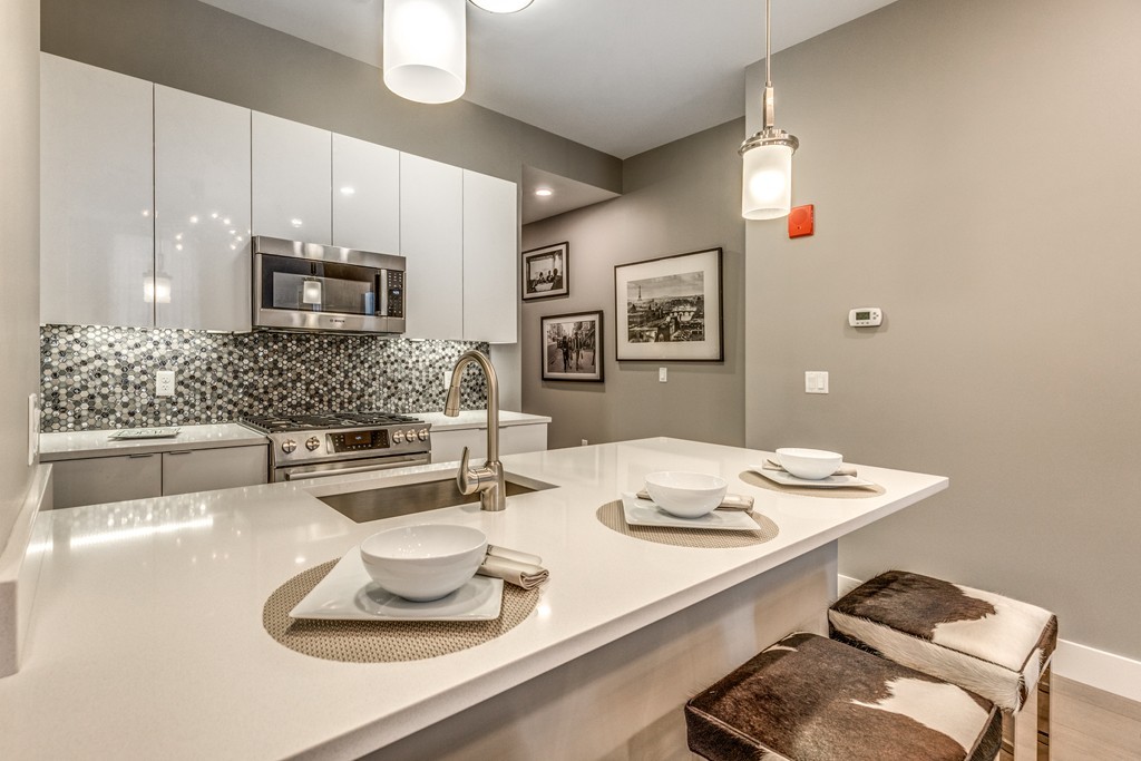 121 Portland Street, Unit 202 Boston, MA 02114 - Photo 10 of 30