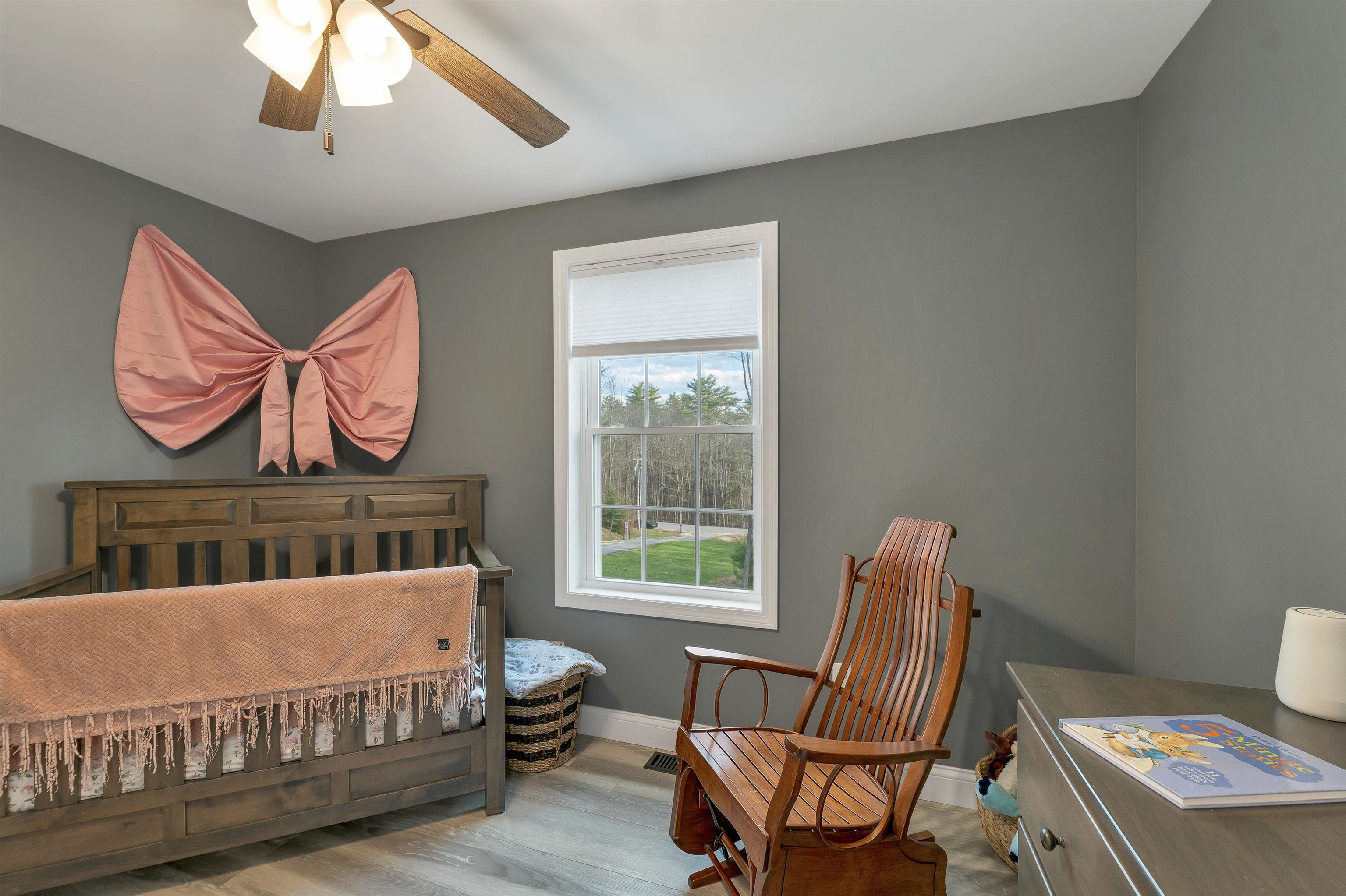 123 Parade Road Barnstead, NH 03218 - Photo 18 of 38