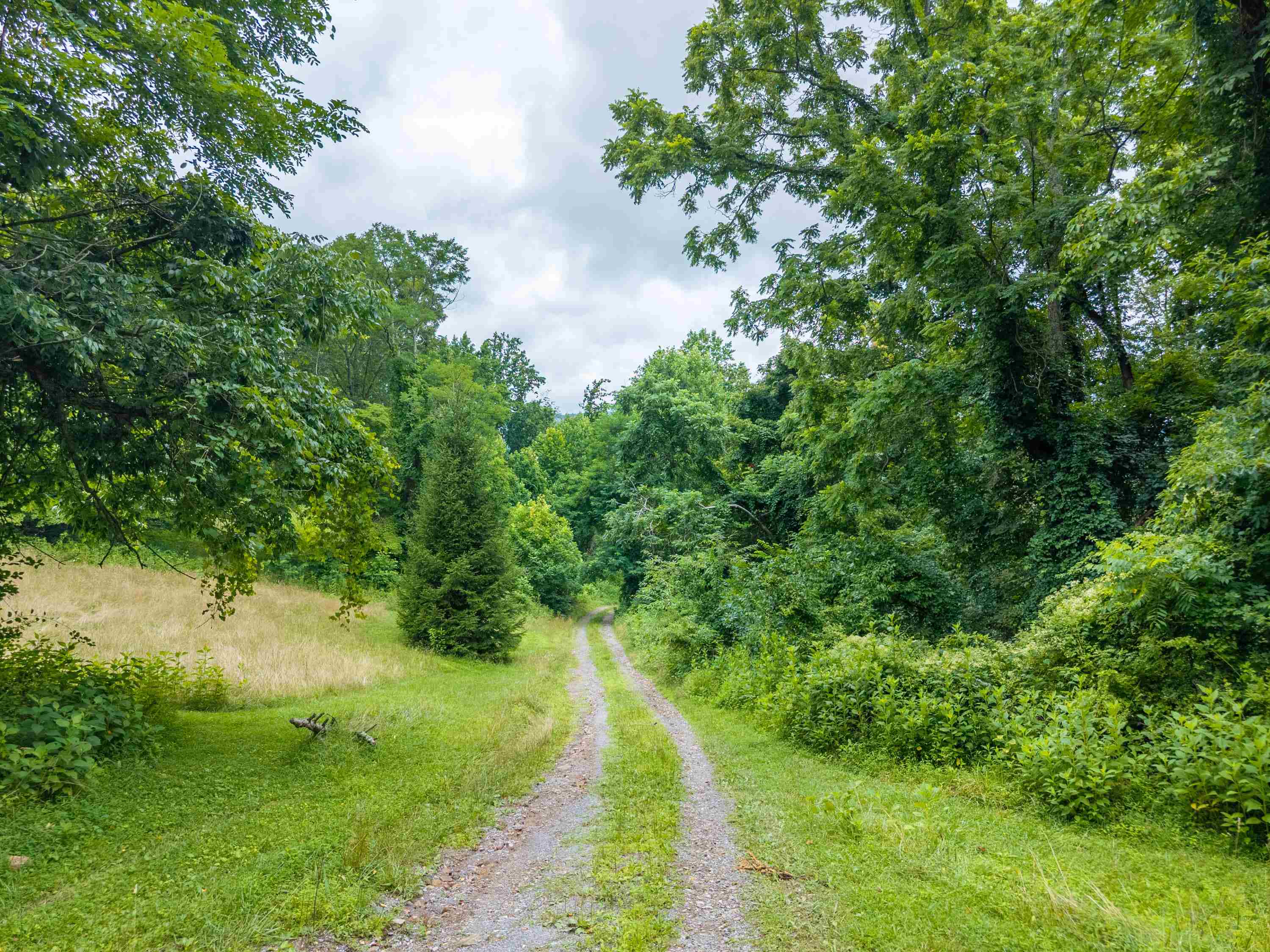 122 Walnut Grove Road Narrows, VA 24124 - Photo 56 of 83 Gallery Image 56