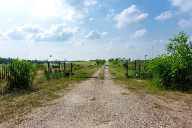 a view of a road with plants