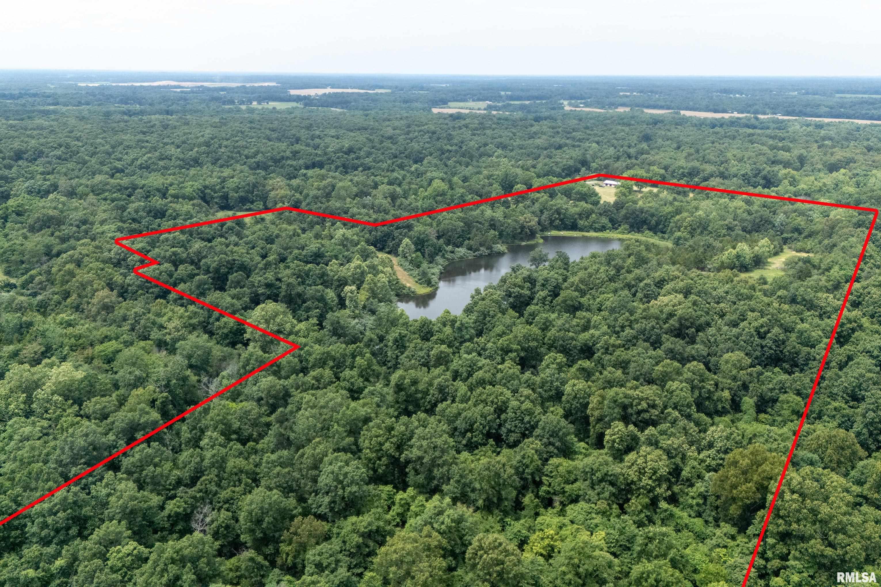 16880 Malone Road Thompsonville, IL 62890 - Photo 10 of 44