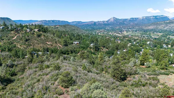 a view of a lush green forest with trees in the background