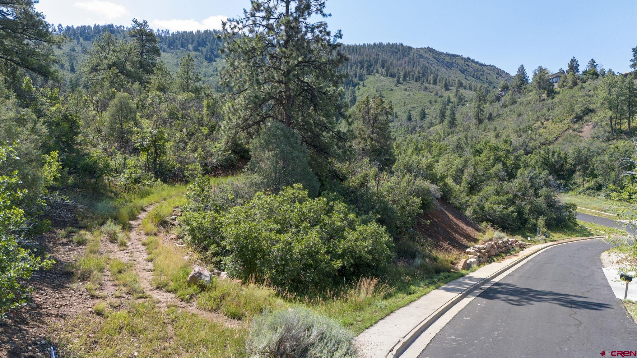 Tbd Scout Ridge Road Durango, CO 81301 - Photo 9 of 14 a view of a forest with a forest