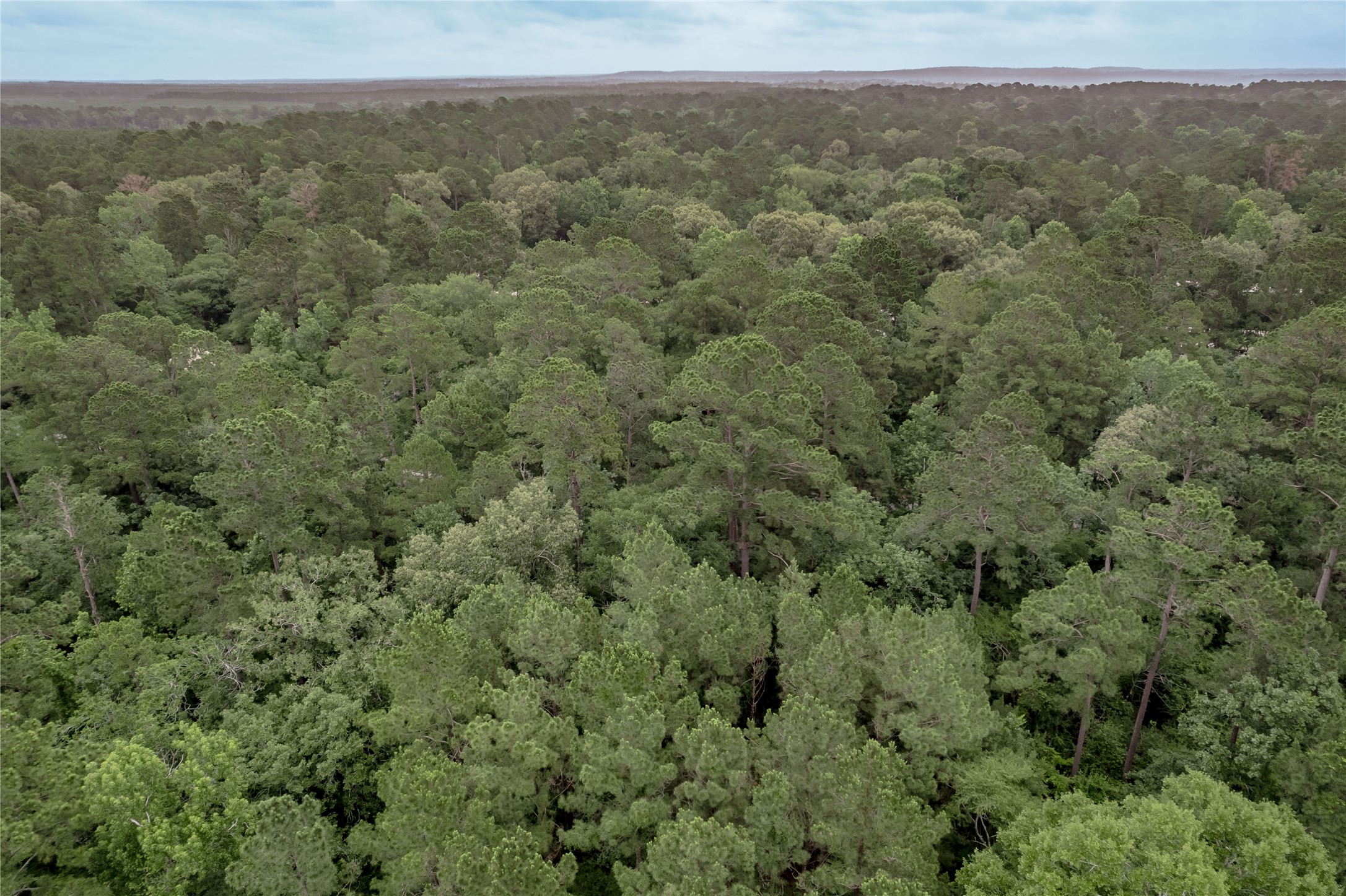Lot 07 Oak Drive Trinity, TX 75862 - Photo 31 of 36