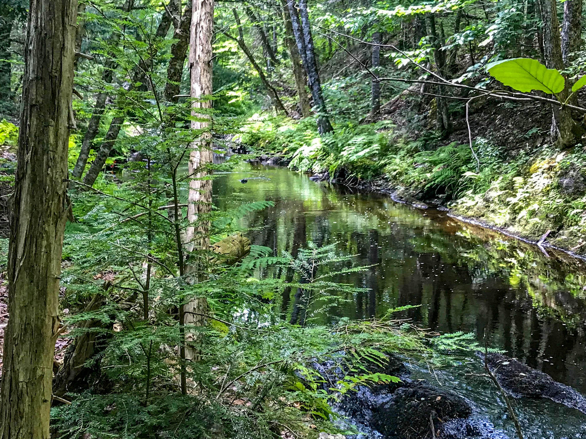 15 Merrill Road Bradford, ME 04410 - Photo 43 of 50 Stream