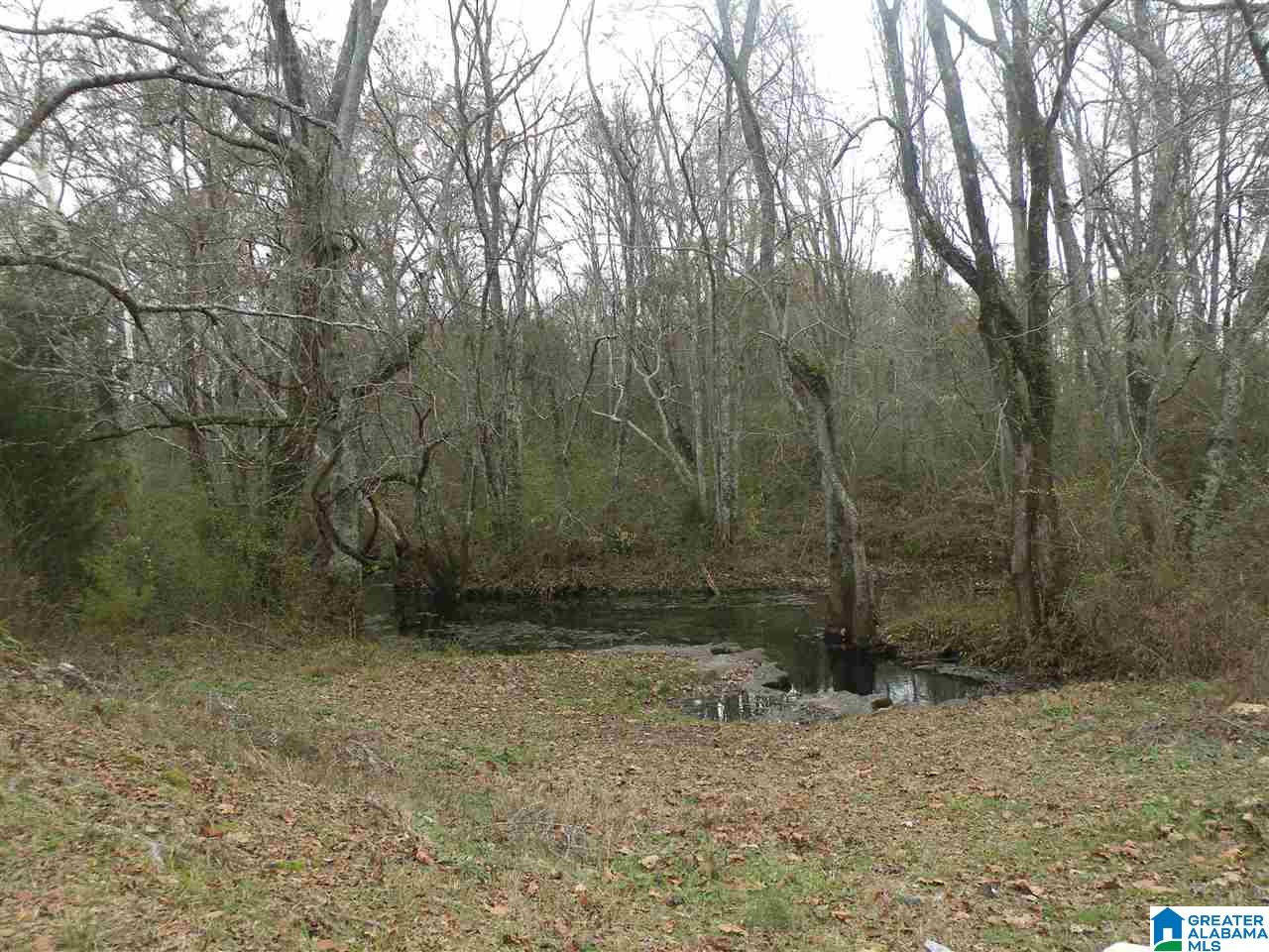 1169 Blue Eye Springs Road Lincoln, AL 35096 - Photo 4 of 4