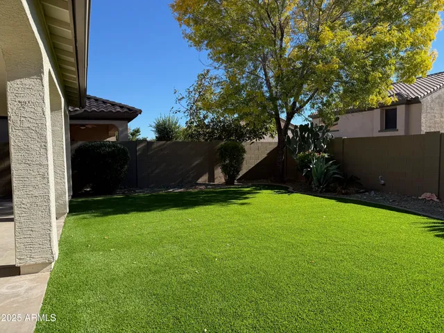 a view of a backyard